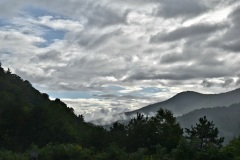 land1