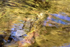 water2