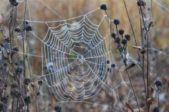 DSC_0566-1