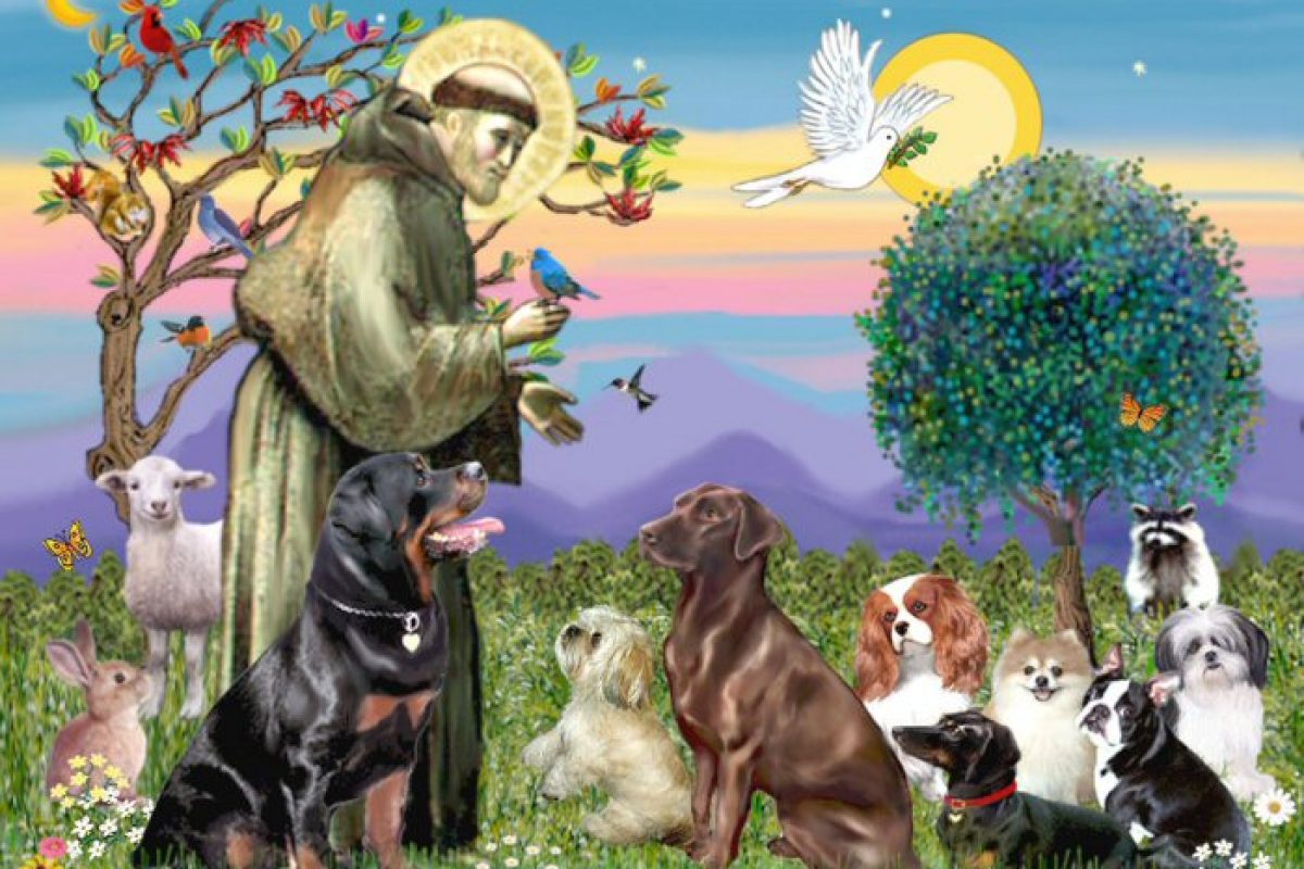 Blessing of the Animals Oct 2 2022 11-1PM