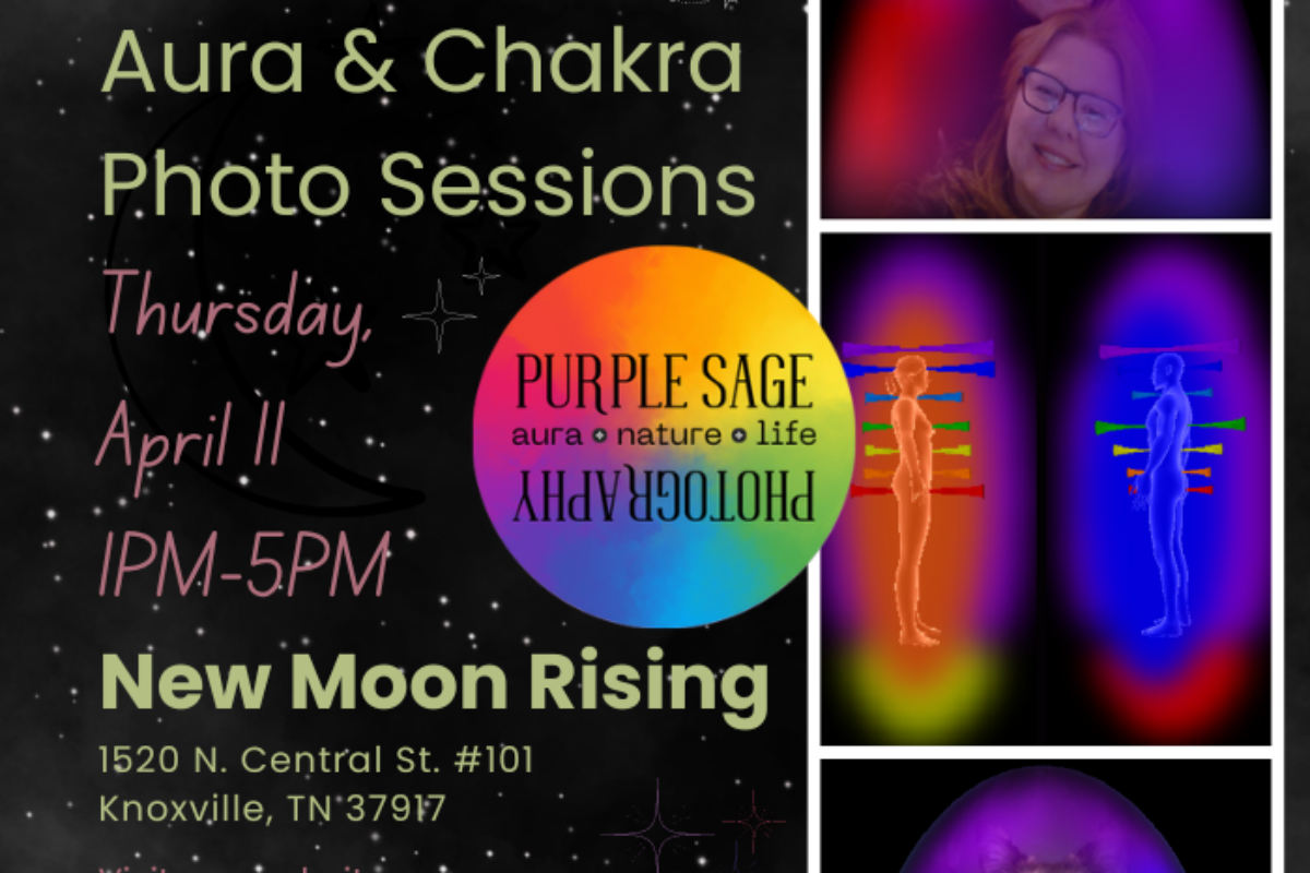 Aura Popup New Moon Rising | April 11