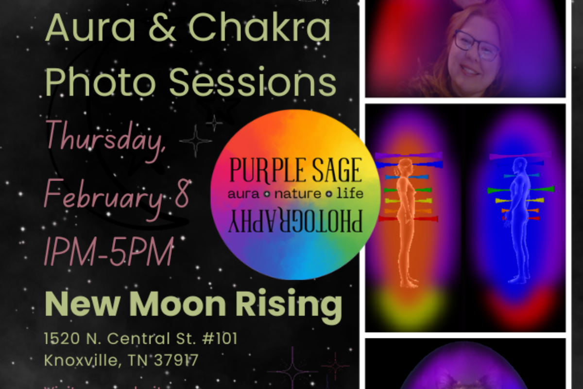 Aura Popup New Moon Rising | February 8