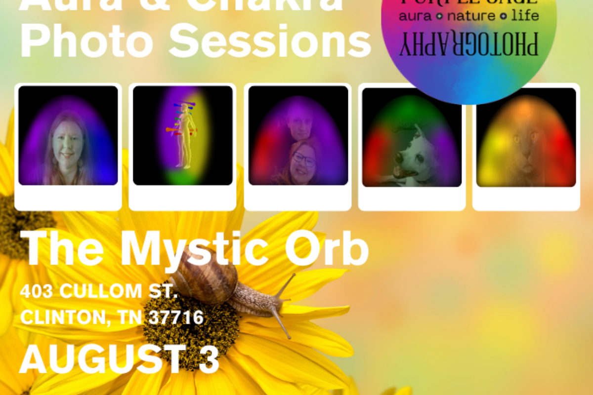 Mystic Orb | August 3 2024