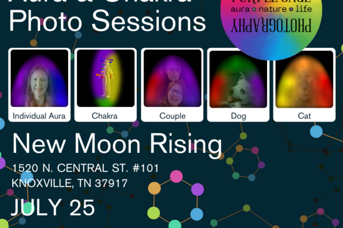 New Moon Rising | July 25