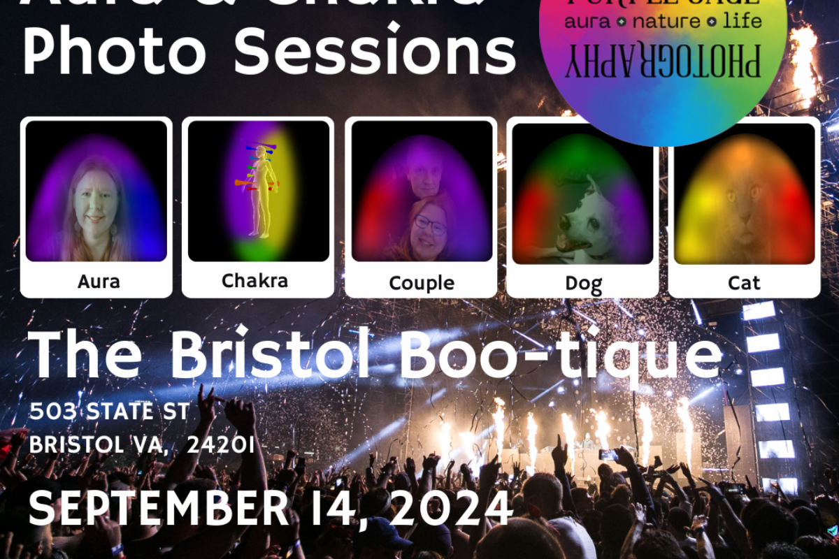 The Bristol Boo-tique | September 14 2024