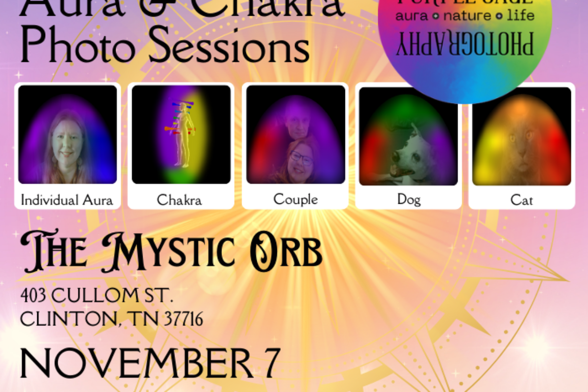 Mystic Orb | November 7 2024