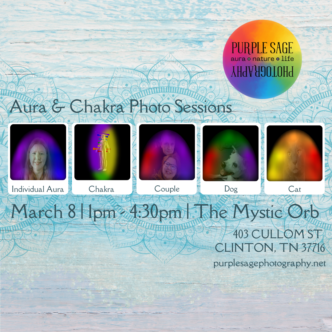 aura photography