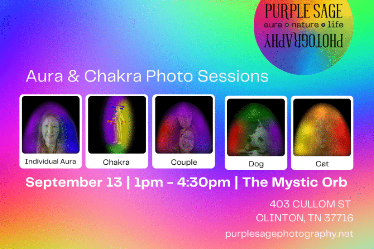 The Mystic Orb | September 13, 2025