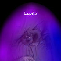 pet aura